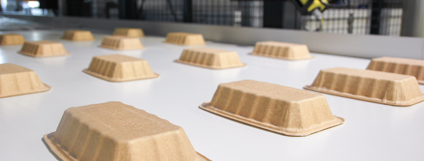 Die neue Fabrik in Deutschland wird im Sommer in Betrieb genommen und vereint zwei einzigartige Innovationen, die fibcro® Naturfasern von BIO-LUTIONS und die Dry Molded Fiber Technologie von PulPac, die der Welt nachhaltige und wettbewerbsfähige Verpackungen auf Faserbasis liefern.